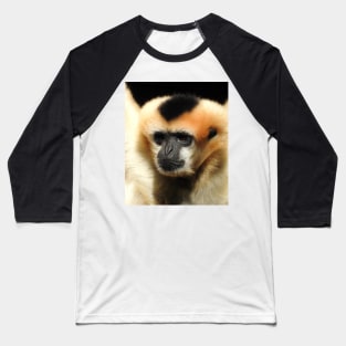 White-cheeked gibbon Baseball T-Shirt